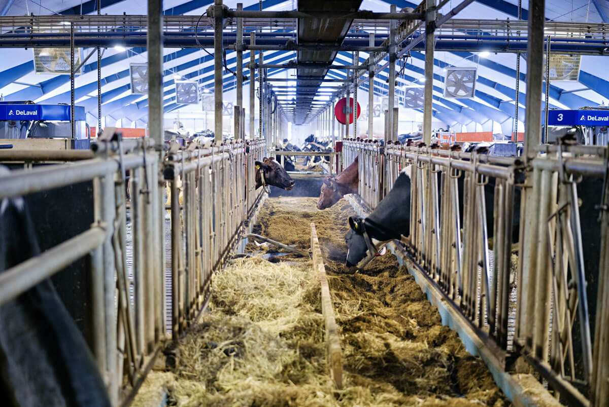 Scanreco-industry-Agriculture
