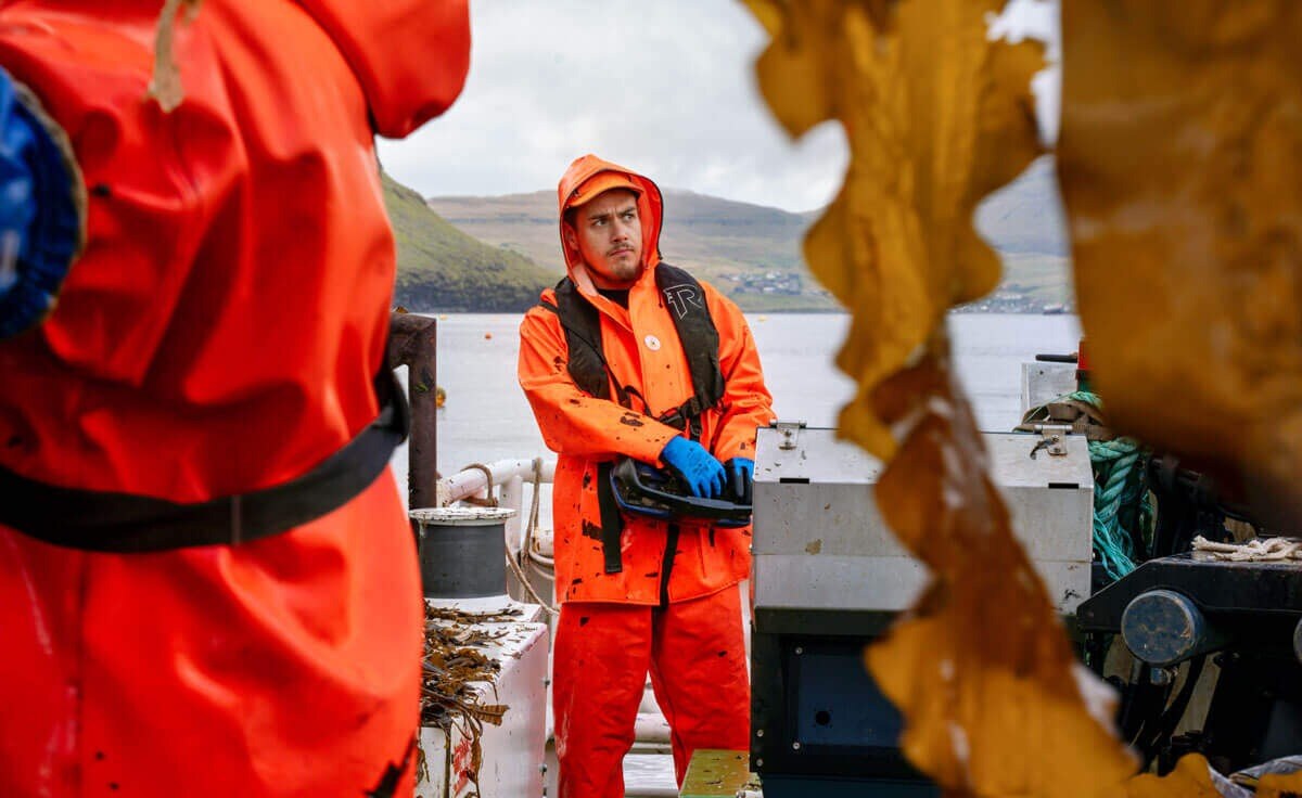 Scanreco-industry-Maritime-seeweed-harvesting-cropped
