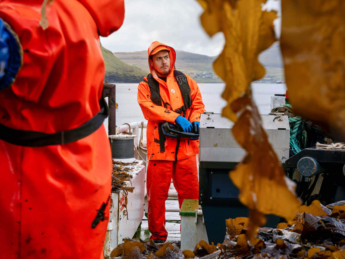 Scanreco-industry-Maritime-seeweed-harvesting